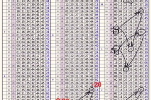 目前為止準度最平穩的版路就屬這版2星的2中2版路了2/28六合彩孤碰非我莫屬 