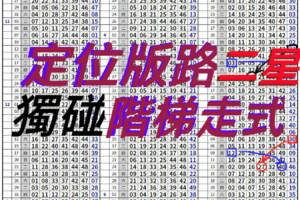 11/19有夠瞎2中2六合獨碰版路