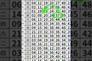 千盼萬盼終於到了1月15六合彩二星獨碰版路