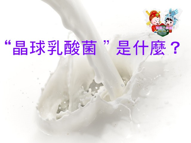 晶球乳酸菌.jpg