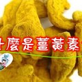 薑黃素是什麼？有什麼健康功效呢?