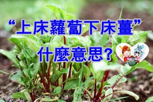 為何是“上床蘿蔔下床薑”?