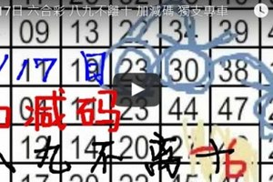 1月17日 六合彩 八九不離十 加減碼 獨支專車