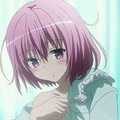 什麼情況？《出包王女Darkness》將迎來最終回