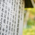 日語竟是世界上最優美的語言，日語歌最深入人心
