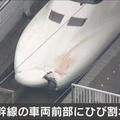  日本新幹線發生撞人事故：司機竟以為是動物