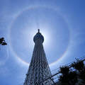 《東京晴空塔》出現日暈美景　日本網友擔心是地震前兆！？