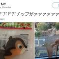 日本網友吐槽：現在的日本真的熱到“融化”！貼紙都融化了