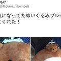 日本網友買到一個奇怪的玩偶……頭和身子的比例也太奇怪了吧！