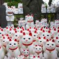 東京“幸運貓”神廟成網紅，吸引大量Instagram 用戶打卡