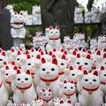 東京“幸運貓”神廟成網紅，吸引大量Instagram 用戶打卡