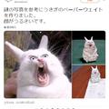 日本網友把“吃驚兔”的表情包做成了手辦！用來壓紙……