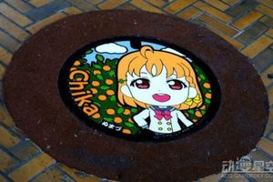 《LL》眾籌痛水溝蓋目標達成一個井蓋帶動的粉絲經濟