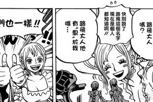 《海賊王》角色撞臉嚴重，美女幾乎都是娜美和羅賓
