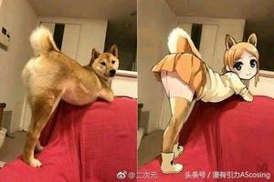 宅宅眼中的世界，居然和普通人不一樣？！