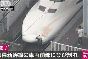  日本新幹線發生撞人事故：司機竟以為是動物