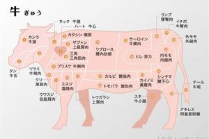 豬牛雞肉日文菜單對照表！一篇讓你看懂自己吃的什麼肉