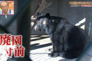日本最慘動物園募資開始《東筑波烏托邦》拯救動物們的最後希望