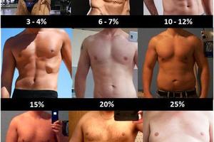 日本網民熱議：你們覺得男人的體脂率在哪個範圍內是可接受的？