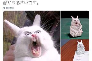 日本網友把“吃驚兔”的表情包做成了手辦！用來壓紙……