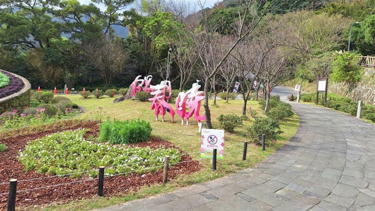 陽明山花季登場,警方公布交管路線和時段。(圖/翻攝畫面) 陽明山花季登場,警方公布交管路線和時段。(圖/翻攝畫面)