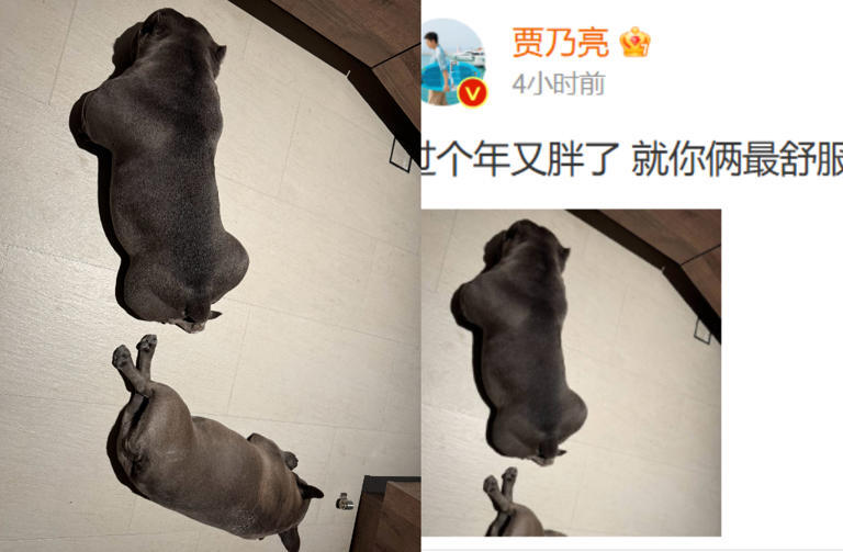 賈乃亮離世遭瘋傳,網曬經紀人聲明。(圖/微博 賈乃亮) 賈乃亮離世遭瘋傳,網曬經紀人聲明。(圖/微博 賈乃亮)