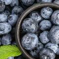 被稱為「十大水果之王」之一的藍莓，到底有什麼營養？