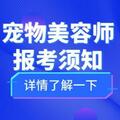 官網可查的寵物美容師證書怎麼報考？難考嗎？報考條件、費用