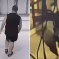 少女遭塞行李箱　澳男涉謀殺被逮