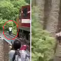 夫妻為拍片闖列車軌道　快被撞上急跳下高架橋