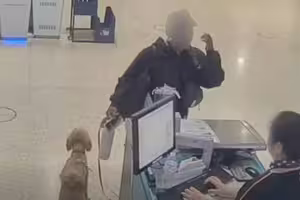 她將狗狗拴行李秤「自行登機」　牠苦等10天「迎來新結局」