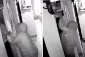 電梯夾娃娃車 「上升又下墜」女嬰情況曝