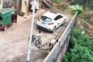 來不及煞車 男童翻牆摔落 來不及煞車 男童翻牆摔落