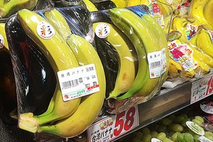 台灣輸日蔬果尷尬 香蕉暴跌 貿易商內耗