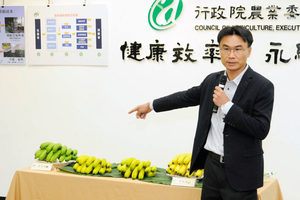 集體復耕又逢暖冬 夏蕉量大價跌 農委會：整合資訊查詢、推天災保險