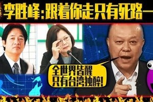 新党李胜峰终极爆发 刀刀见血！老兵听了热泪纵横 台独听得心惊肉跳！