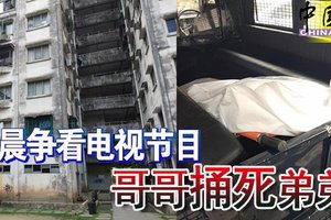 清晨争看电视节目 哥哥捅死弟弟