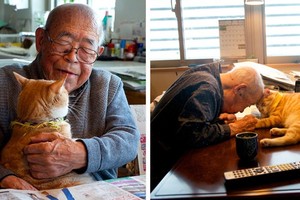 94歲爺爺生病天天愁眉苦臉，孫子給了他一隻貓咪後他的「人生大逆轉」！