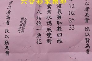 3/7-3/9  震興宮-六合彩參考