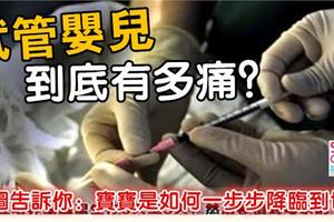 試管嬰兒到底有多痛？組圖告訴你：寶寶是如何一步步降臨到世上