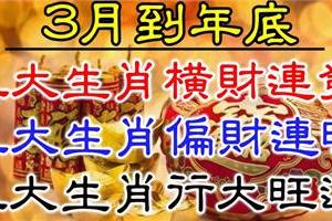 3月到年底，9個生肖橫財連發，偏財連旺，行大運中大獎。是你嗎？