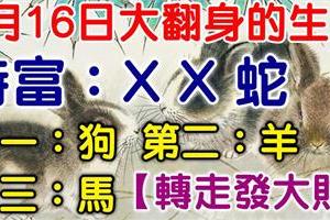 3月16日，必然轉運大翻身的生肖！（上榜的太旺了！一定要轉走，才會發大財！）