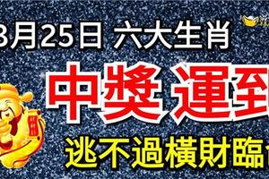 3月25日中獎運到，「馬上有錢」的六大生肖! 逃不過橫財臨命