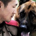 警犬不捨與自己朝夕相處的武警退伍離開，牠做出的「這個舉動」讓大家都淚崩了！