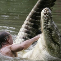 他在28年前拯救了一隻「鱷魚」，從此和牠建立了20多年「跨物種友誼」，沒想到最終結局竟讓人心酸！