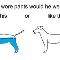 「狗究竟應該如何穿褲子？」創作者拋出嚴肅問題，竟讓全球網友吵翻天啦！