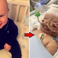 小男嬰才8個月就「慘被截肢雙手+左腳」，昏迷17天「醒來第一個動作」讓全球網友揪心爆淚。