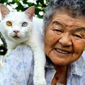 86歲老奶奶和耳聾小貓「溫情相守11年」！孫女拍下「最平凡的日常」卻讓千萬網友都落淚...