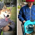 牠想活我就救！17歲愛犬腦中風「黃子佼砸30萬救狗」，把屎把尿不喊苦：因為是家人...