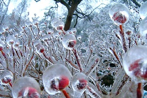 30 張「冬日限定版─老天親創的藝術」：美到極致的《冰雪奇景》！